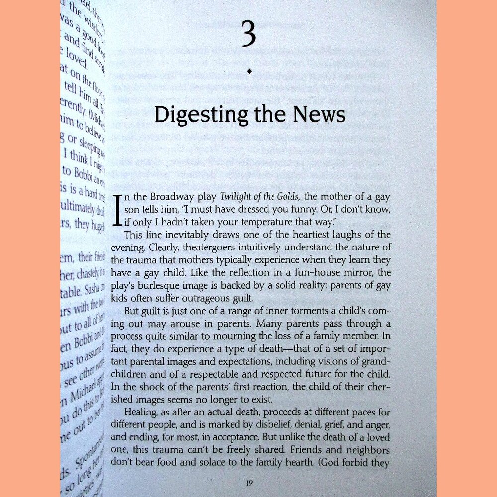Book - Straight Parents, Gay Children: Inspiring Families to Live Honestly.... - Picture 8 of 14